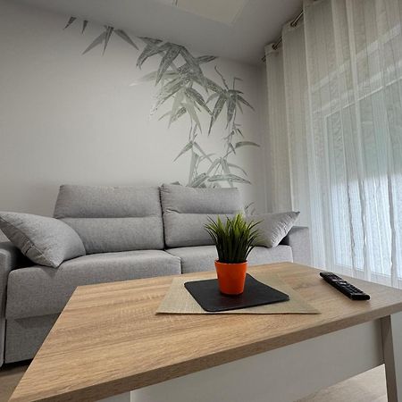 Apartamentos Turisticos Peregrin Palas Palas de Rei المظهر الخارجي الصورة